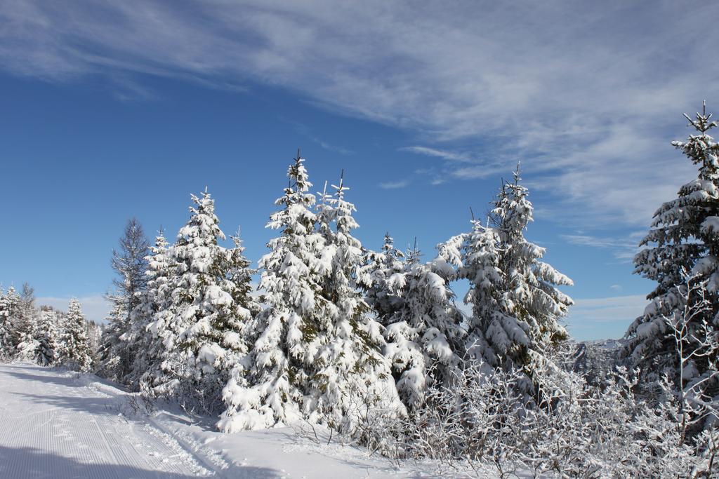 Rifugio Verenetta Casere Verena Bagian luar foto